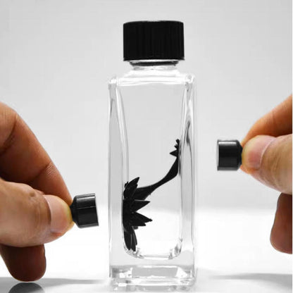 Ferrofluid Magnetic Display