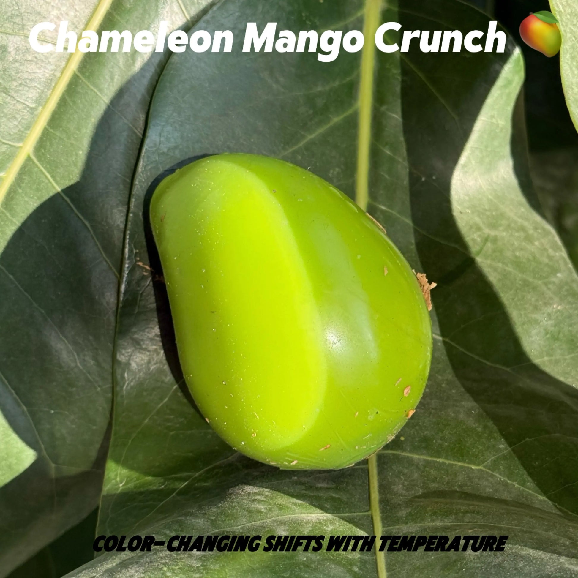 Mochichi Color-Changing Stress Ball
